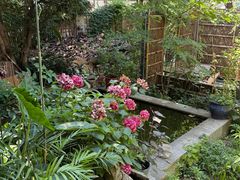 -谷咖啡·鲜花绿植花园餐厅