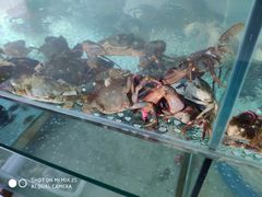 -福鑫源海鲜烧烤