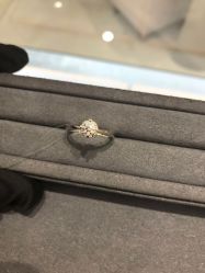 -钻石小鸟钻戒婚戒定制(石路店)