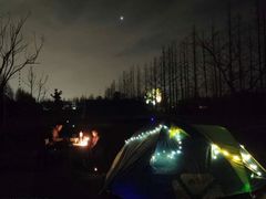 -前小桔亲子创意农场·草莓采摘·露营烧烤