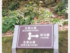 -紫金山山顶公园