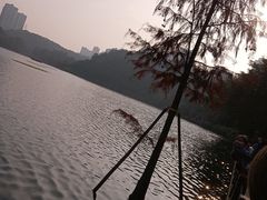 -重庆彩云湖湿地公园