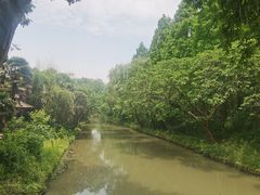 -同里国家湿地公园