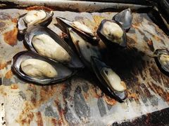 青口-阪尚皇·原切牛排·烤肉火锅自助(北京路店)