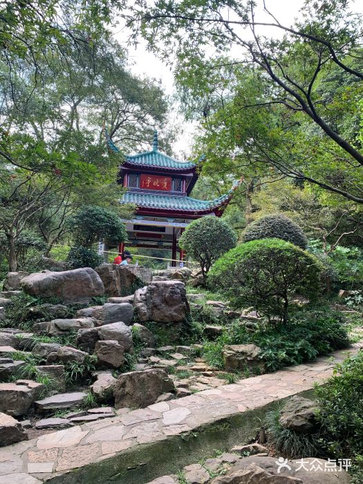 茶颜悦色(岳麓山顶店)图片