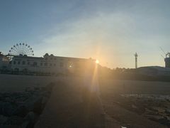 -巨鹏飞梦幻海岸
