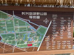 -上海长兴岛郊野公园