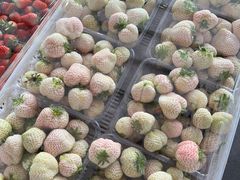 白草莓-东方鼎信农副产品交易中心