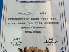 -达爱动物医院·犬猫分区·CT·复杂眼科(远洋山水分院)