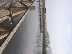 溱湖国家湿地公园-溱湖国家湿地公园