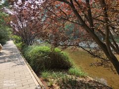 -元大都城垣遗址公园