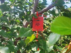 -云峰山自然风景区