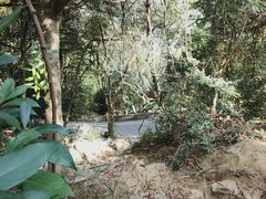 -梧桐山风景名胜区