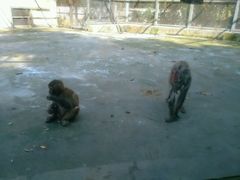 -广东茂名森林公园