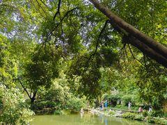 -成都市活水公园