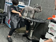 -宠物家(大兴旧宫店)