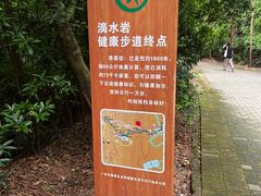 -滴水岩森林公园