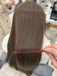 -YESIDO椰岛造型