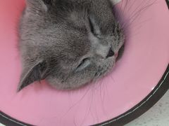 -联合动物医院(光谷诊疗中心)