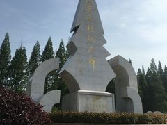 -水杉园