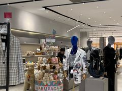 -the balancing(东方店)