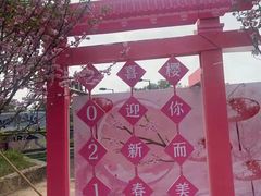 -观澜湖生态运动公社