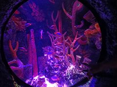 -沈阳海洋探索中心