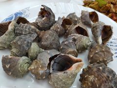 清蒸小海螺-北戴河庆山饭店·海鲜砂锅粥(北戴河黑石路店)