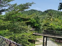-海南槟榔谷黎苗文化旅游区