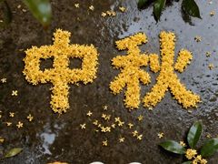 -鼎盛王朝康熙大典实景演出