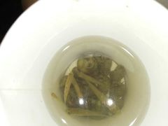 -昆山城市生态森林公园