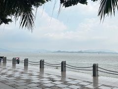 -深圳湾公园(南山区)