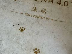 -Sirena海妖日咖夜酒