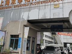 -双季花艺园艺市场(浦东店)