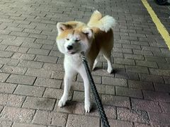 -YCHL Studios健身工作室(市二宫店)
