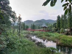 -广州市石门国家森林公园
