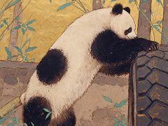 -都江堰中华大熊猫苑