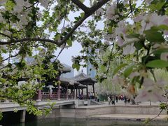 -海棠花溪(元大都城垣遗址公园)