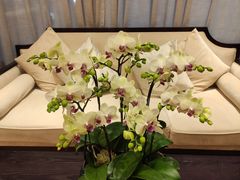 -海逸海鲜酒家(古北店)