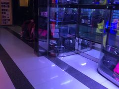 -太平洋影城(紫荆店)