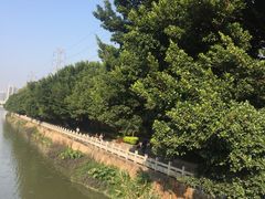 -光明港公园
