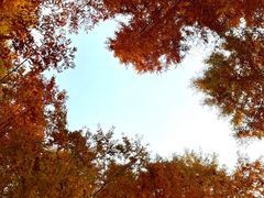 -白鹭湾湿地公园