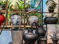 -自由生长植物工作室(深港花卉中心店)