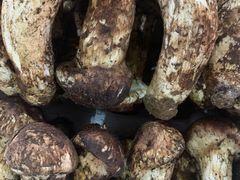 -野菌园·野生菌火锅首创第一家(关兴路总店)