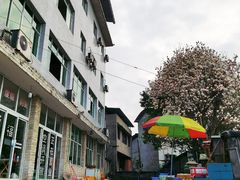 -盘龙黄鳝(盘龙居店)