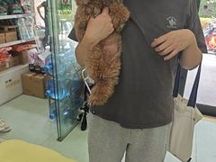 -瑞鹏宠物医院·宠保定点·心脏科·内科(御桥分院)