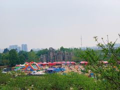 -秀丽东方