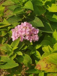 -北京科学中心儿童乐园