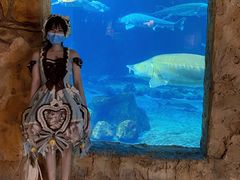 -华夏文旅海洋公园