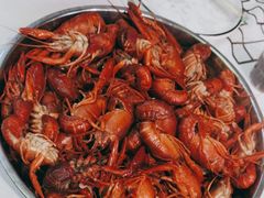 -云晓光头烧烤吧(德平路店)